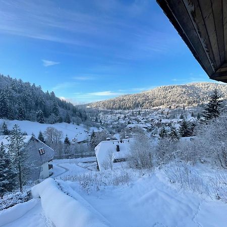 Panorama Apartment Todtmoos Dış mekan fotoğraf
