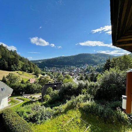 Panorama Apartment Todtmoos Dış mekan fotoğraf