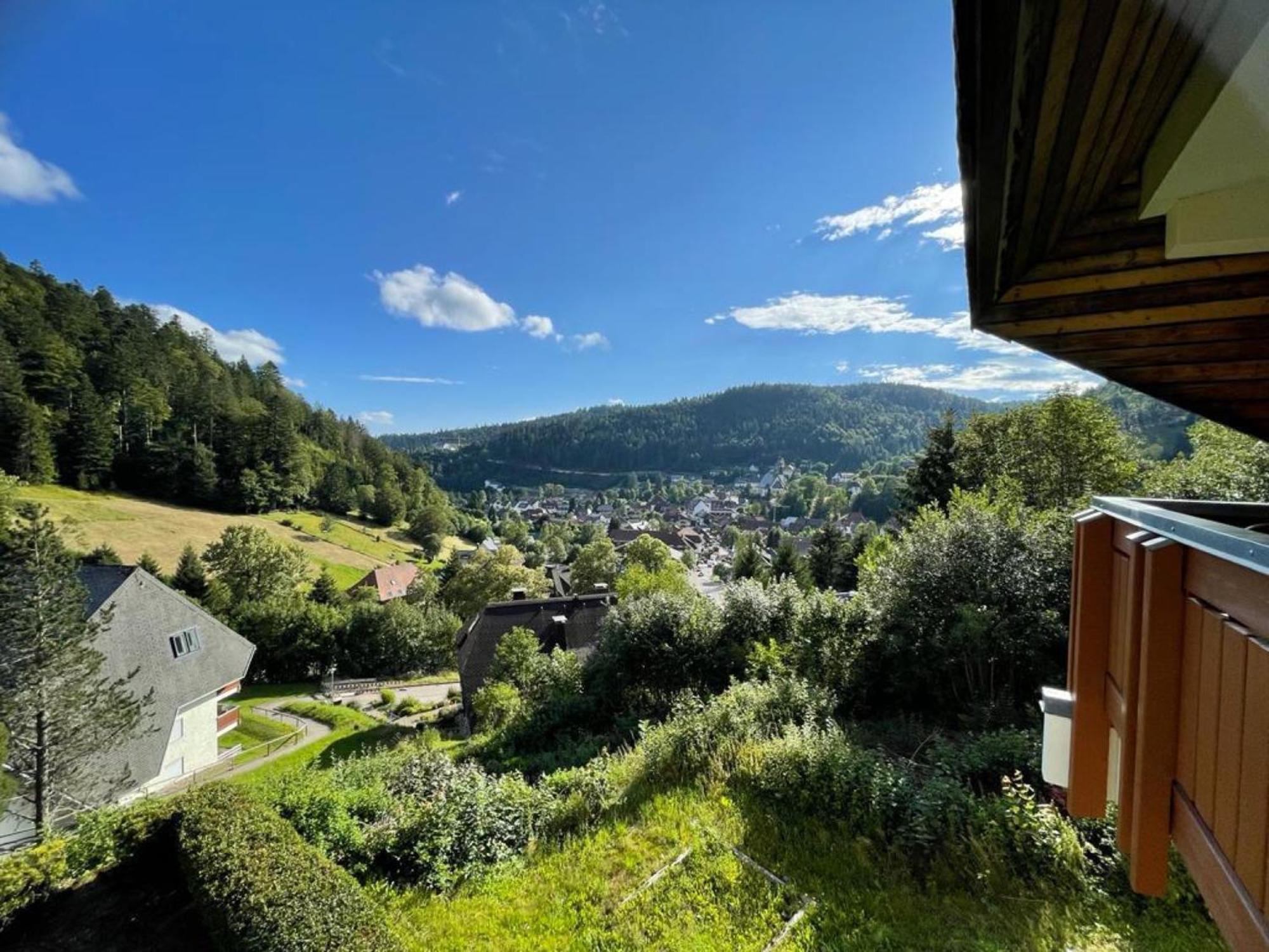 Panorama Apartment Todtmoos Dış mekan fotoğraf
